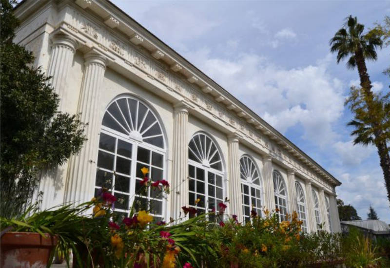 Napoli. XII edizione della Festa dell’Albero e la rassegna musicale “Sinfonie D’Autunno” ospitate dal Real Orto Botanico