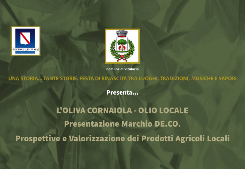 Vitulazio. Oliva Cornaiola – Olio locale. In consiglio comunale l’approvazione del regolamento del marchio DE.CO.