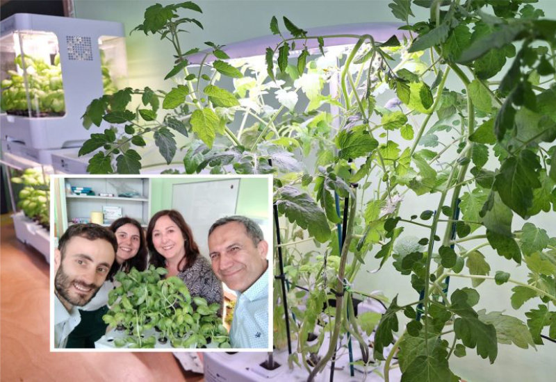 Serre idroponiche, all’Ics Giovanni XXIII di Recale si “coltiva” il futuro